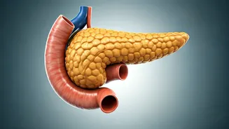 Unseen Enemy: Understanding Diabetes and Its Impact