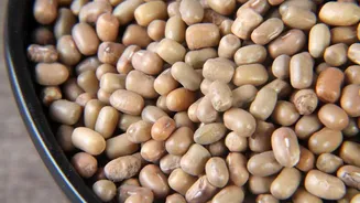 Related Stories banner