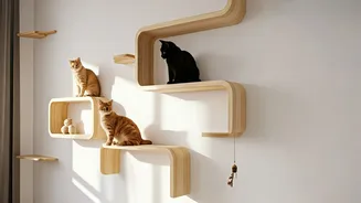 Cat-itecture: Stylish wall shelves for cats