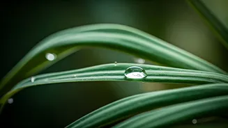 Sara Tendulkar's Minimalist Skincare: The Simple Secret to Radiant Skin