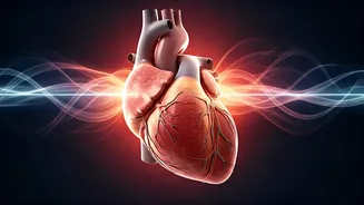 Beyond Fitness: Unpacking Hidden Heart Risks Even for the Health-Conscious