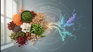 How the plant-based protein digestibility scale changes how we evaluate nutrient intake values