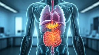 Beyond Kadha: 5 Science-Backed Strategies for a Resilient Immune System