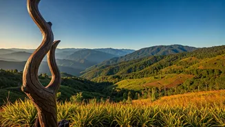 Why Chiang Rai Is Trending Over Crowded Commercial Thai Beaches