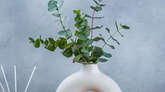 What The Monsoon Decor Shift Means For Easy-Care Surfaces