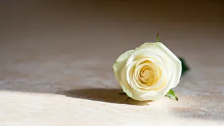 Minimalist Bride: 10 Makeup Tips for Your Big Day
