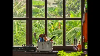 How to Plan a Month-Long Workation in India