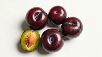 Eat Fiber Rich Plums For Perfect Digestion This Monsoon