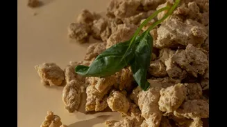 Spicy, Protein Rich And Low In Calories, This Spicy Thecha Soya Recipe Is  A Must Try