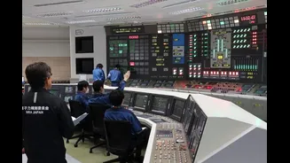 Japan Restarts World's Largest Nuclear Plant Since 2011 Fukushima Disaster