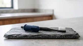 Why Annual Pet Dental Checkups Are Essential For Preventing Undetected Bacterial Infiltration And Decay