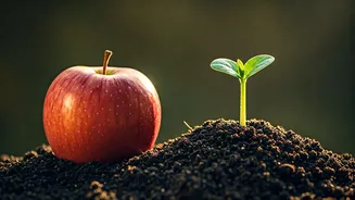 Forget Crash Diets, Build Habits That Actually Work