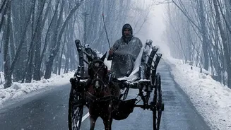 Winter Road Trips In India: Choosing A Route Before A Seasonal Drive