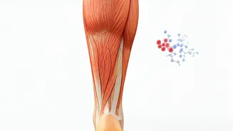 Related Stories banner