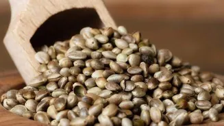 How hemp seeds can boost your protein intake