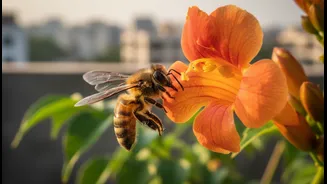 Urban Pollinator Gardens Have Entered The Group Chat