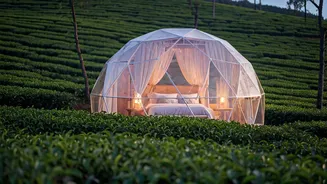 Glamping In Munnar's Tea Garden Geodesic Domes Is Pure Romance