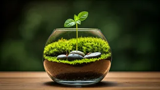 7 Essential Wellness Habits to Cultivate in Your 20s for Lifelong Radiance