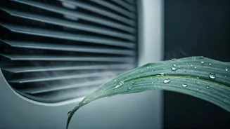 Summer 'Colds': How Air Conditioners Can Mimic Viral Symptoms