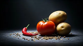 From Distant Lands: 6 Foods That Transformed Indian Cuisine Post-15th Century