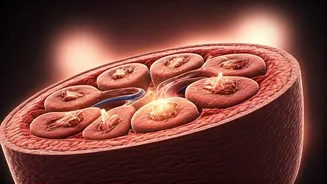 Beyond the 126 mg/dL Mark: Understanding Blood Glucose and Organ Health