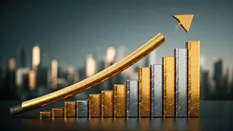 Nifty 50: How is the Market Performing?