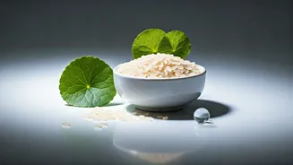Why Rice, Centella And Ceramides Are Trending