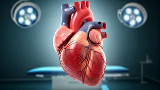 Heart Rate: Your Guide to a Healthy Beat