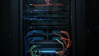 Chicago's Tech Boost for Small Businesses: An RFP Unveiled