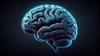 Decoding Your Nightly Conversation Replays: Why Your Brain Can't Stop Thinking & How to Get Rest