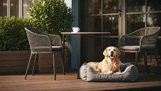 Pet-Friendly Hangouts Are The New Social Trend