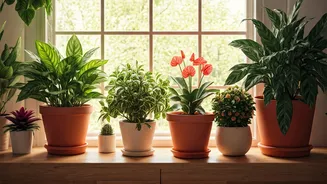 Colourful Planting Makes Homes Feel More Lived-In