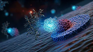 Positive Phase 2 Results for HER2-Targeted Therapy in Advanced Endometrial Cancer