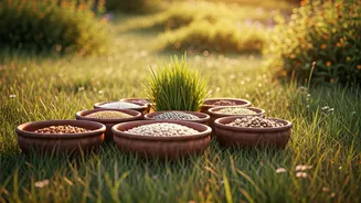 Daily Blessings: Unlocking Spiritual Power by Feeding Cows Each Day of the Week