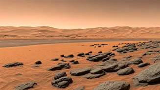 Related Stories banner