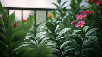 Monsoon Gardening Fever Spreads