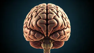 Mental Exercises for Sharper Minds: Reversing Brain Aging