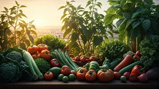 Your Terrace Veggie Patch Capital Costs Fully Covered Via State