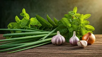 Banish Lizards Naturally: 5 Aromatic Plants to Keep Them Away!