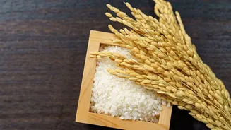 Rice exporters seek budget sops, interest subvention to boost competitiveness