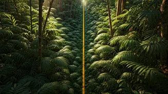 Ecuador: A Journey to the Center of the World