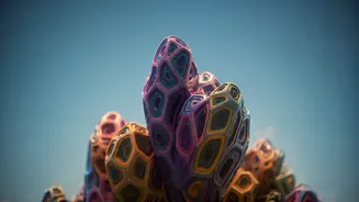 Lisbon's Diverse Neighborhoods: A Guide to Exploring the Soul of the City