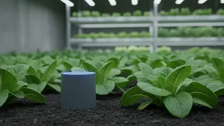 Low Frequency Sound Vibrations Keep Pests Away From Organic Urban Farms