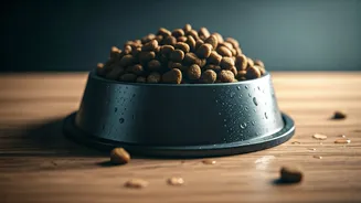 Vets Want Better Food Awareness For Rainy Months