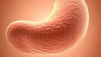 Belly Fat Woes? 4 Sneaky Mistakes You Might Be Making