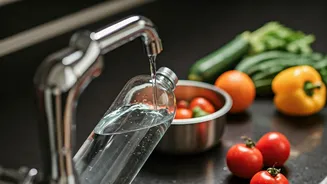 Simple Kitchen Swaps To Beat Microplastics In Daily Staples