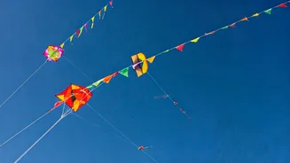 Makar Sankranti Celebrations: Wishes & Greetings