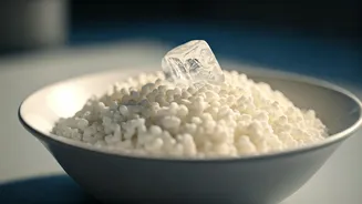 Summer Secret: 2 Weeks of Curd Rice and What Your Body Will Thank You For