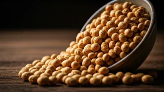 Your Evening Snack Needs Soybean Crunch Now
