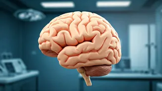 Try These 5 Mental Exercises for Brain Health